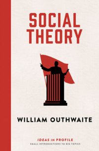 cover of the book Social Theory: Ideas in Profile