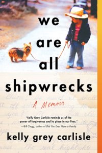 cover of the book We Are All Shipwrecks