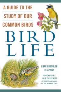 cover of the book Bird life: a guide to the study of our common birds