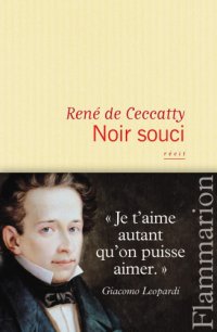 cover of the book Noir souci récit