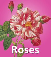 cover of the book Roses