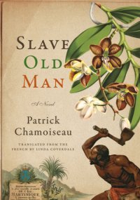 cover of the book Slave Old Man