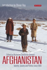 cover of the book Afghanistan: identity, society and politics since 1980