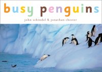 cover of the book Busy Penguins