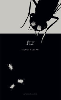 cover of the book Fly