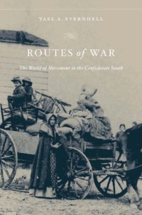 cover of the book Routes of war: the world of movement in the Confederate south