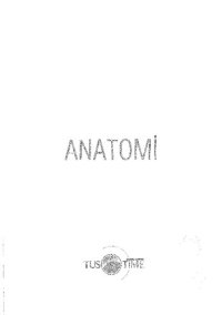 cover of the book İnfotus Anatomi Soru Kitabı