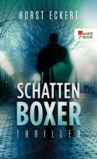 cover of the book Schattenboxer