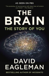 cover of the book The Brain: The Story of You