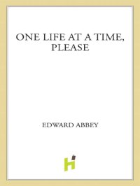 cover of the book One Life at a Time, Please