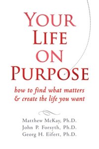 cover of the book Your life on purpose: how to find what matters and create the life you want