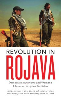 cover of the book Revolution in Rojava: democratic autonomy and women's liberation in Syrian Kurdistan