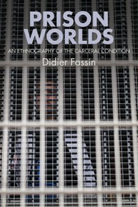 cover of the book Prison worlds: an ethnography of the carceral condition