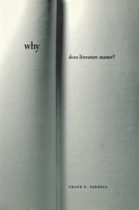 cover of the book Why does literature matter?