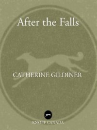 cover of the book After the Falls