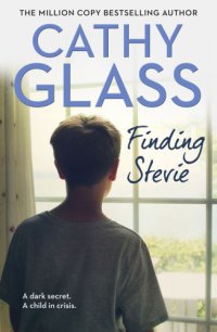 cover of the book Finding Stevie: a dark secret, a child in crisis