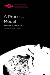 cover of the book A process model