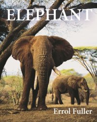 cover of the book Elephant