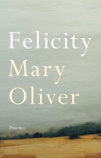 cover of the book Felicity