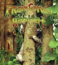 cover of the book A rainforest habitat