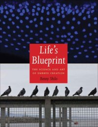 cover of the book Life's Blueprint: The Science and Art of Embryo Creation