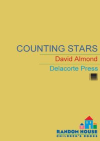 cover of the book Counting Stars