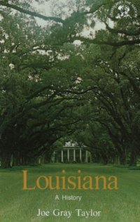 cover of the book Louisiana, a history