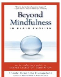 cover of the book Beyond Mindfulness in Plain English