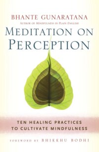 cover of the book Meditation on Perception