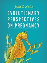 cover of the book Evolutionary Perspectives on Pregnancy