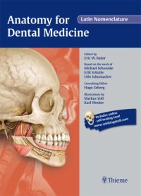 cover of the book Anatomy for Dental Medicine, Latin Nomenclature