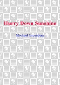 cover of the book Hurry Down Sunshine