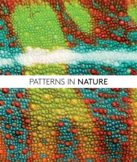 cover of the book Patterns in nature: why the natural world looks the way it does