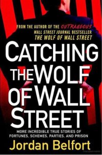 cover of the book Catching the Wolf of Wall Street: More Incredible True Stories of Fortunes, Schemes, Parties and Prison