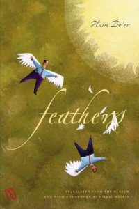 cover of the book Feathers