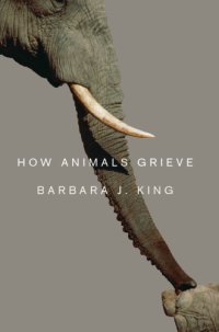 cover of the book How Animals Grieve