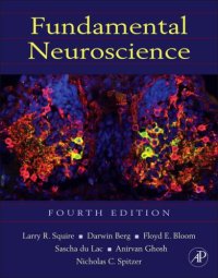 cover of the book Fundamental Neuroscience