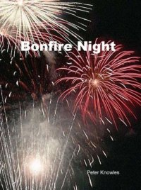 cover of the book Bonfire Night