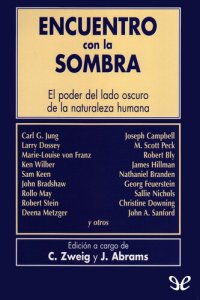 cover of the book Encuentro con la sombra