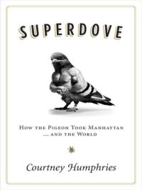 cover of the book Superdove: how the pigeon took Manhattan-- and the world