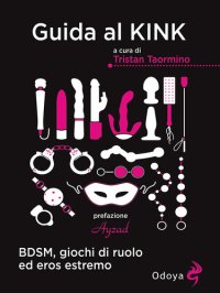 cover of the book Guida al Kink