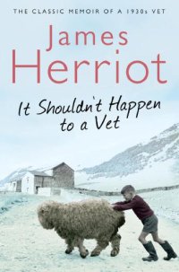 cover of the book It Shouldnt Happen to a Vet