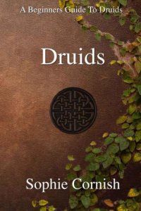 cover of the book Druids: a beginners guide to druids