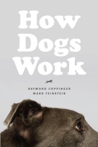 cover of the book How Dogs Work