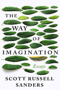 cover of the book The Way of Imagination