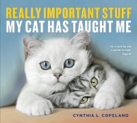 cover of the book Really Important Stuff My Cat Has Taught Me