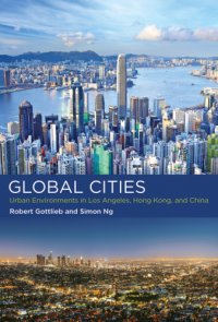 cover of the book The Global cities: urban environments in Los Angeles, Hong Kong, and China