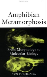 cover of the book Amphibian Metamorphosis: From Morphology to Molecular Biology