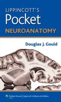 cover of the book Lippincott's pocket neuroanatomy