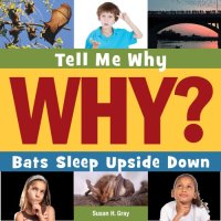 cover of the book Bats sleep upside down